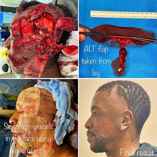 Plastic Surgeon(16)